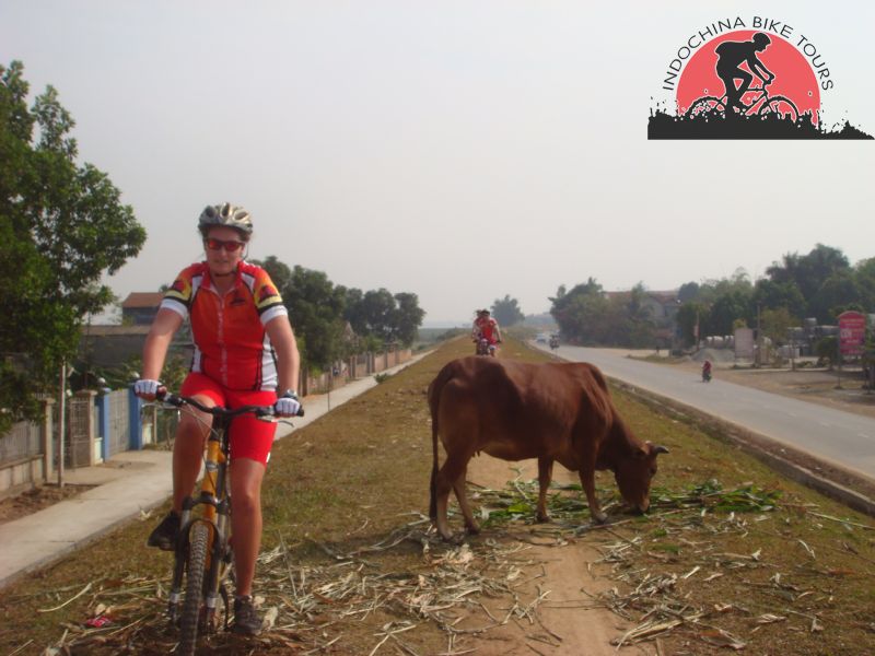 2 days Zoo Safari Cycling Tours