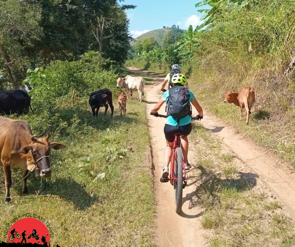 10 Days Nonthern Thailand Cycling Tours