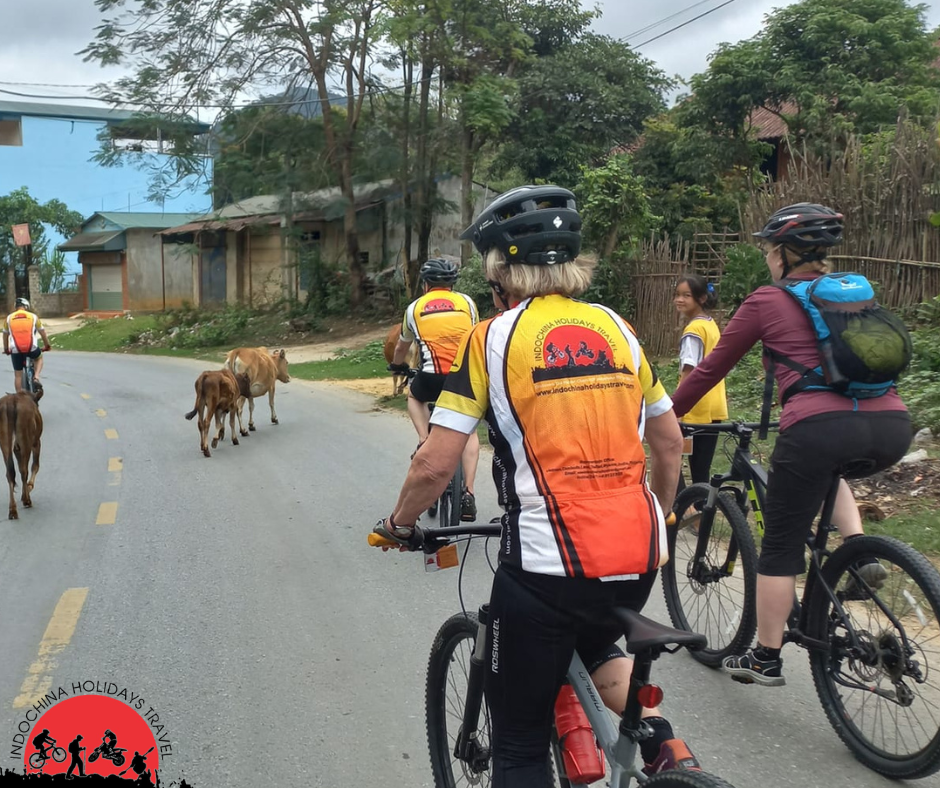 9 Days Chieng Mai and Northern Thailand Cycling Tours